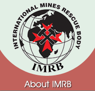 About IMRB